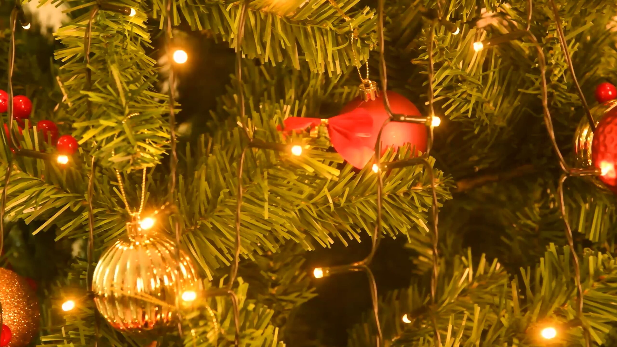 National Tree Company Store -National Tree Company Store B13AX12RZHL min scaled