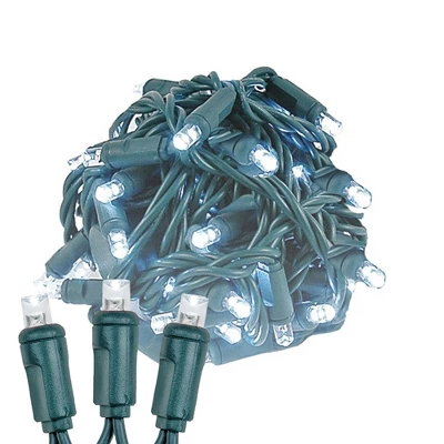 Novelty Lights LED Christmas String Lights 70 Mini Bulbs (Green Wire, 24 Feet) 10 Novelty Lights LED Christmas String Lights 70 Mini Bulbs (Green Wire, 24 Feet) - Image 10