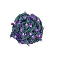 Novelty Lights 50 Light LED Christmas Mini Light Set (Green Wire, 25 Feet) -National Tree Company Store GUEST 1ee39584 7fed 4f45 bcf7 3058a9061d71