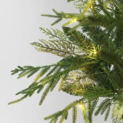 24" Pre-Lit Christmas Norfolk Cedar Artificial Greenery With Ground Stake - Wondershop™ 6 24" Pre-Lit Christmas Norfolk Cedar Artificial Greenery With Ground Stake - Wondershop™ -National Tree Company Store GUEST 517b159a ab98 4251 ad4a 9a78c2d8852a