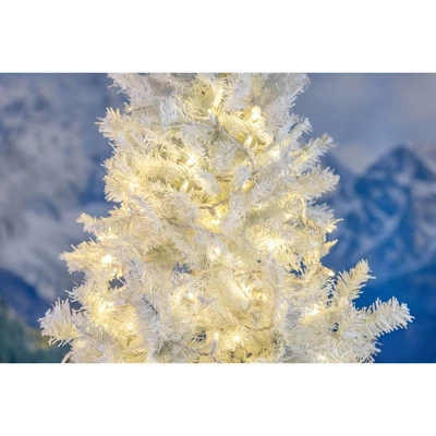 Novelty Lights 34 Feet 100 Light LED Christmas Lights White Wire, Connectable Mini String, Indoor/Outdoor, Commercial Grade, UL Listed 8 Novelty Lights 34 Feet 100 Light LED Christmas Lights White Wire, Connectable Mini String, Indoor/Outdoor, Commercial Grade, UL Listed - Image 8