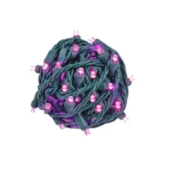 Novelty Lights 50 Light LED Christmas Mini Light Set (Green Wire, 25 Feet) -National Tree Company Store GUEST 90658cc8 48ac 46ac 9027 3fb6821c71f9