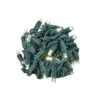 Novelty Lights 50 Light LED Christmas Mini Light Set (Green Wire, 25 Feet)