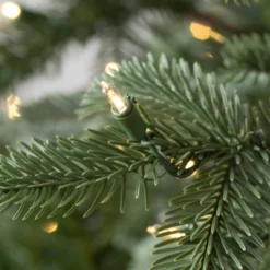 Balsam Hill 9' Clear LED European Fir Tree -National Tree Company Store GUEST cb9c729a 39c9 40d7 8406 f65baa424fcf