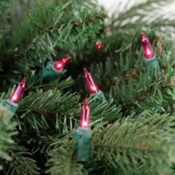 Northlight Mini Incandescent Christmas Lights - Pink - 20.25' Green Wire - 100ct -National Tree Company Store GUEST dc42bca8 a294 44e3 99cc ea5c43277af6