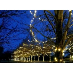 Novelty Lights 50 Light LED Christmas Mini Light Set (Green Wire, 25 Feet) -National Tree Company Store GUEST edd514e7 754c 48e1 9310 0b655b549243