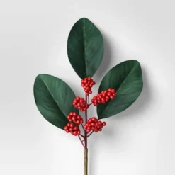 4pc Christmas Pick Set 2 Magnolia Leaf 2 Red Poinsettia - Wondershop™ -National Tree Company Store GUEST f4255727 4432 43e9 bc15 cf1d5326592b